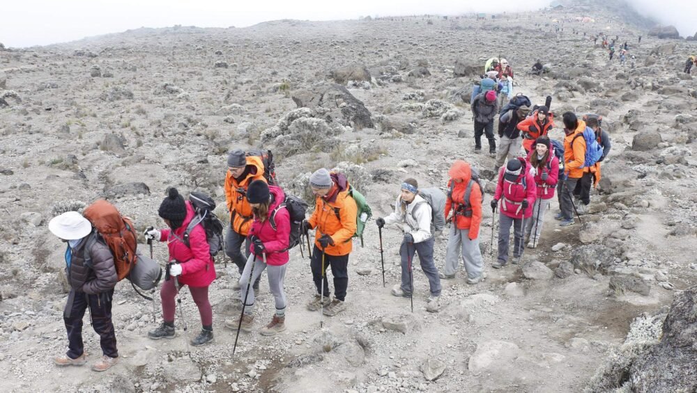 kilimanjaroclimbingvialemoshoroutex